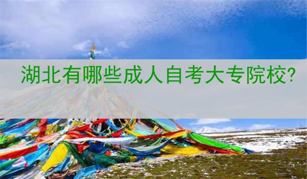 湖北有哪些成人自考大专院校?