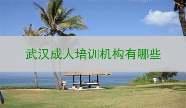 武汉成人培训机构有哪些