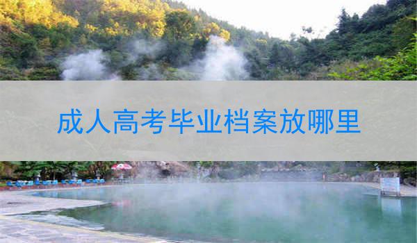 成人高考毕业档案放哪里