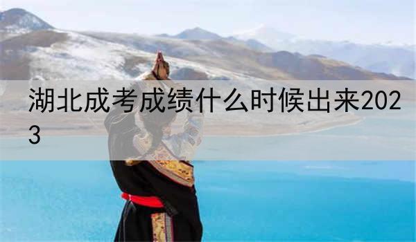 湖北成考成绩什么时候出来2023
