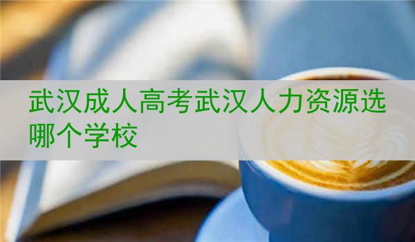武汉成人高考武汉人力资源选哪个学校