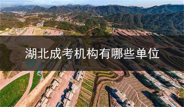 湖北成考机构有哪些单位