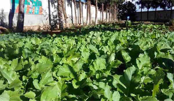 成人高考录取了之后要做些什么