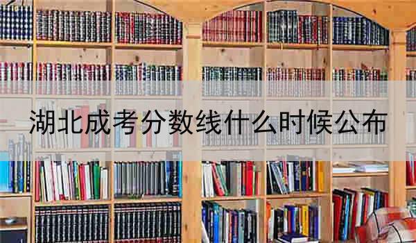 湖北成考分数线什么时候公布