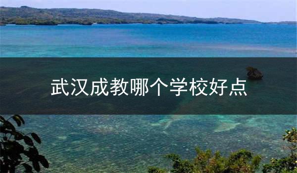 武汉成教哪个学校好点