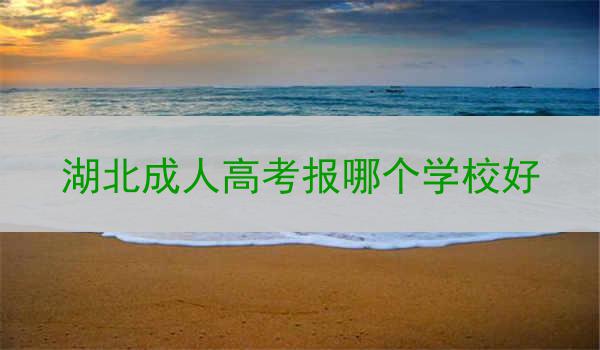 湖北成人高考报哪个学校好