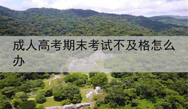 成人高考期末考试不及格怎么办