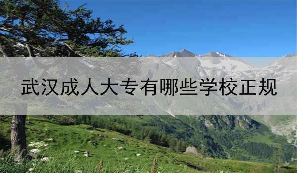 武汉成人大专有哪些学校正规