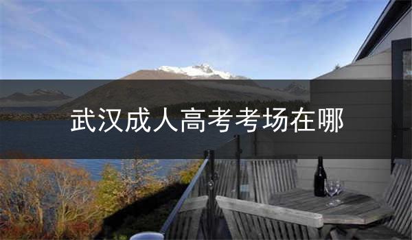武汉成人高考考场在哪