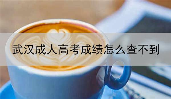 武汉成人高考成绩怎么查不到