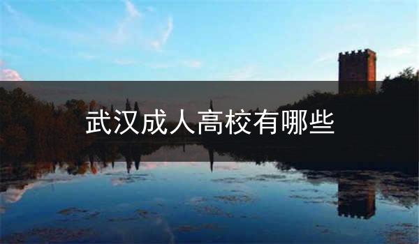 武汉成人高校有哪些