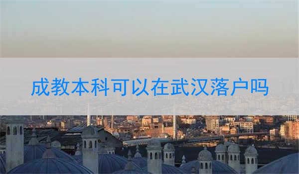 成教本科可以在武汉落户吗