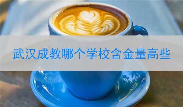 武汉成教哪个学校含金量高些