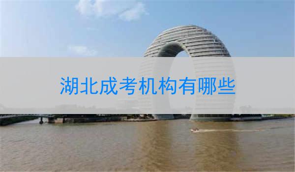 湖北成考机构有哪些