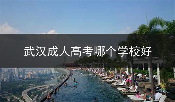 武汉成人高考哪个学校好
