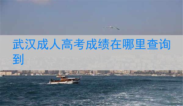 武汉成人高考成绩在哪里查询到