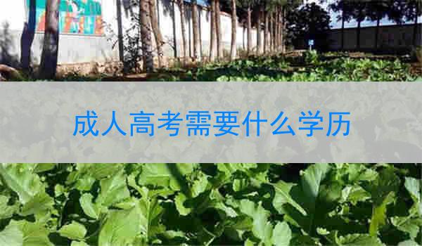 成人高考需要什么学历