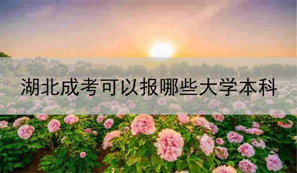 湖北成考可以报哪些大学本科