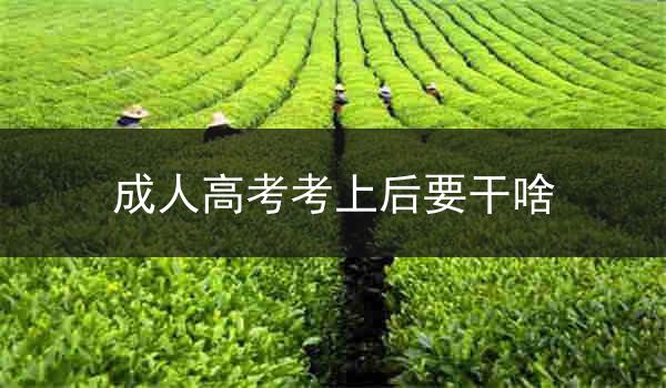 成人高考考上后要干啥