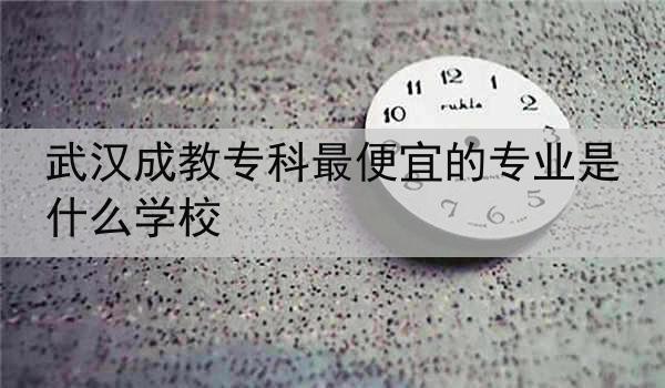 武汉成教专科最便宜的专业是什么学校