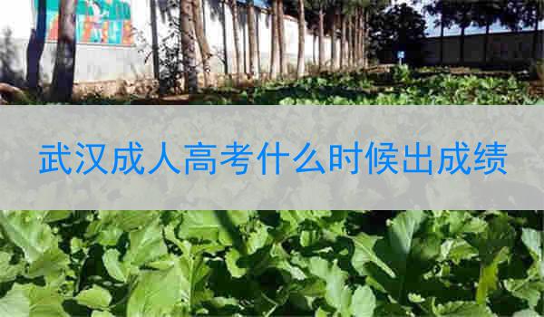 武汉成人高考什么时候出成绩