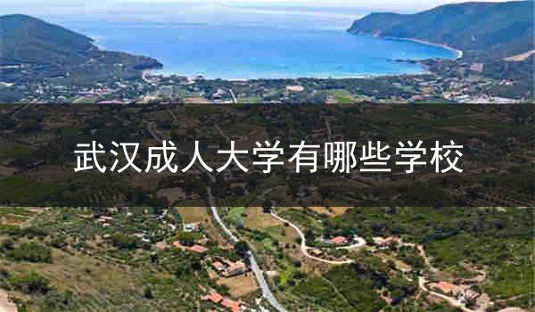 武汉成人大学有哪些学校