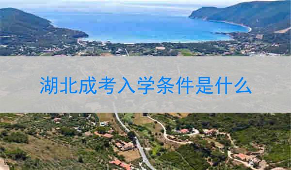 湖北成考入学条件是什么