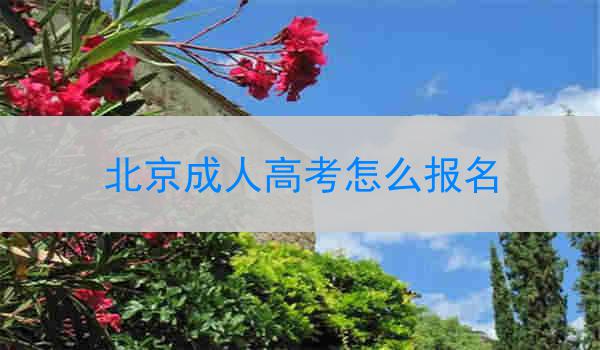 北京成人高考怎么报名