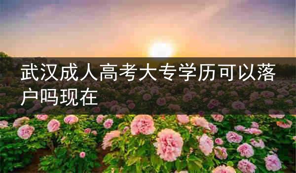 武汉成人高考大专学历可以落户吗现在