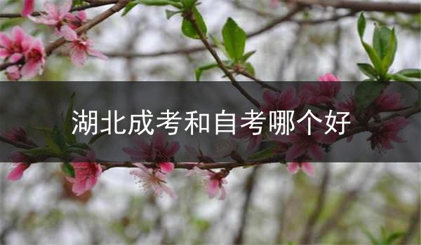 湖北成考和自考哪个好
