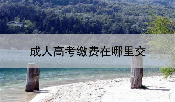 成人高考缴费在哪里交