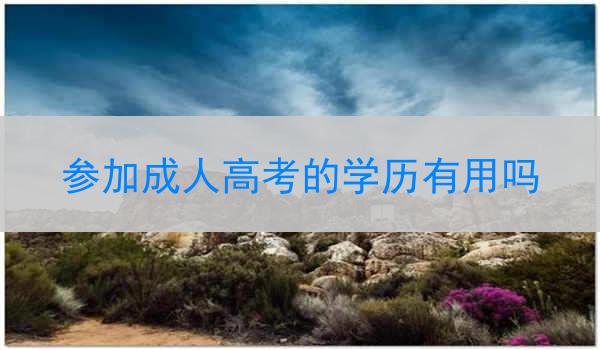 参加成人高考的学历有用吗