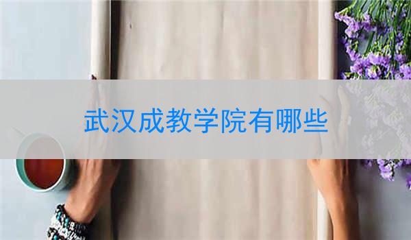武汉成教学院有哪些