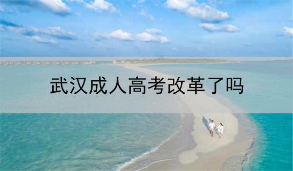 武汉成人高考改革了吗