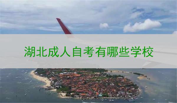 湖北成人自考有哪些学校