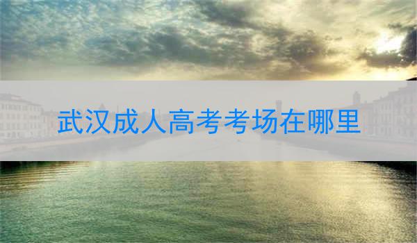 武汉成人高考考场在哪里