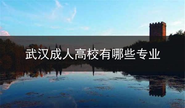 武汉成人高校有哪些专业