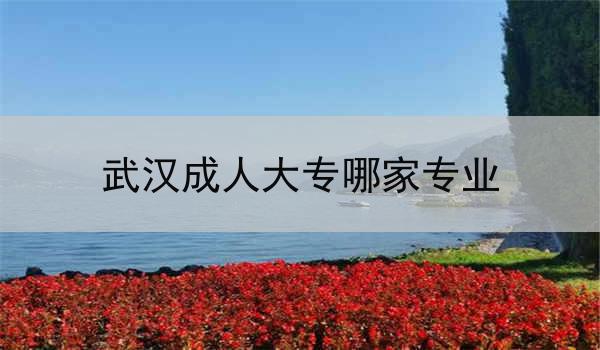 武汉成人大专哪家专业