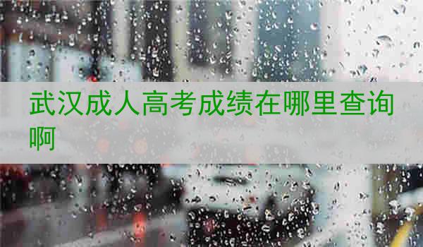 武汉成人高考成绩在哪里查询啊