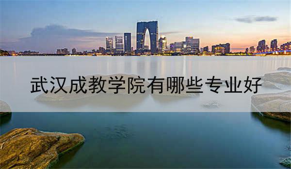 武汉成教学院有哪些专业好