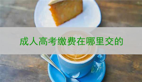 成人高考缴费在哪里交的
