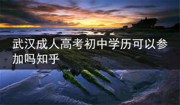 武汉成人高考初中学历可以参加吗知乎