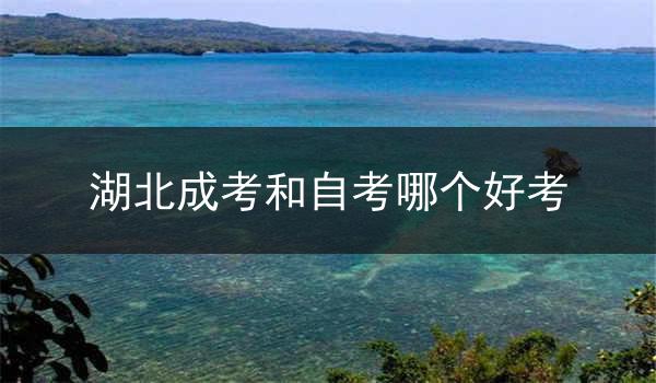 湖北成考和自考哪个好考