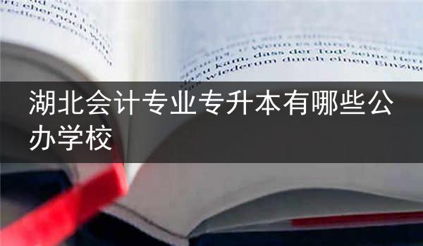 湖北会计专业专升本有哪些公办学校