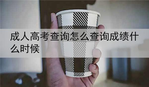 成人高考查询怎么查询成绩什么时候