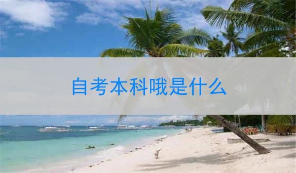 自考本科哦是什么