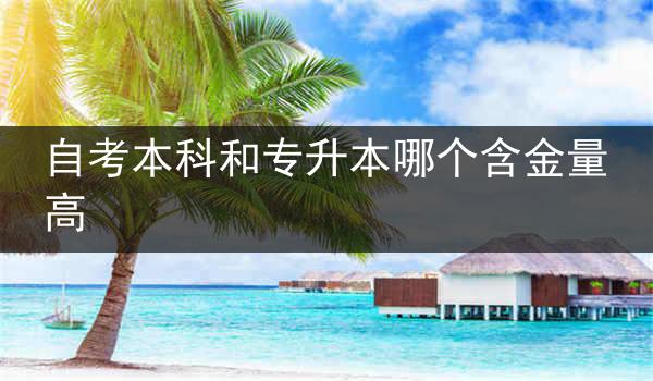 自考本科和专升本哪个含金量高