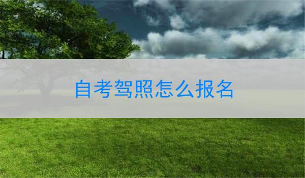 自考驾照怎么报名