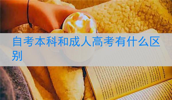 自考本科和成人高考有什么区别