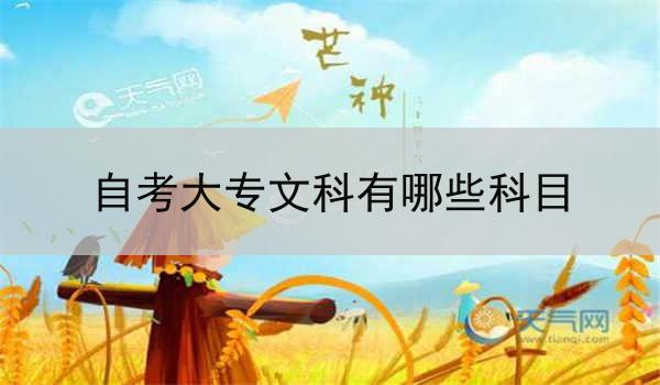 自考大专文科有哪些科目